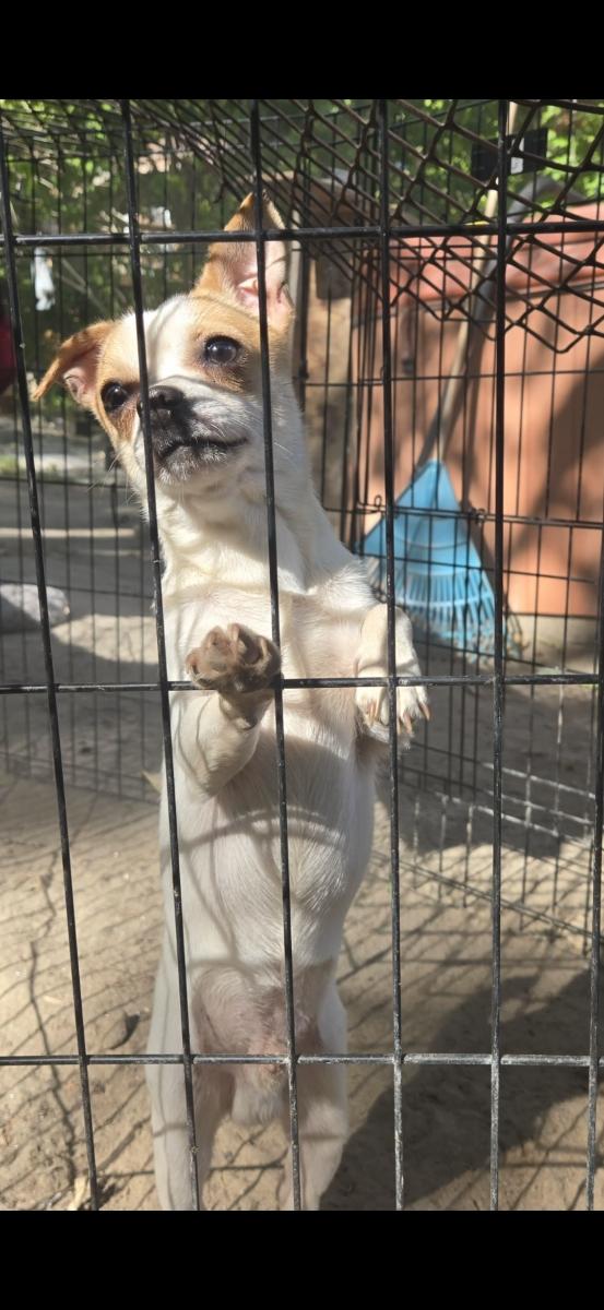 Charlie
