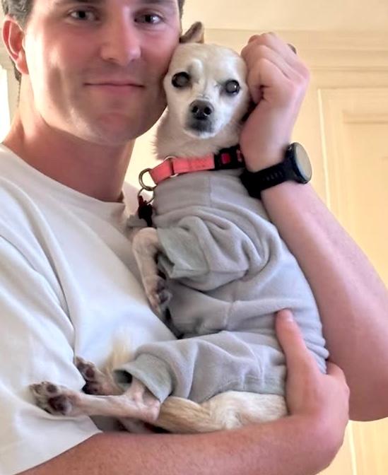 Enlarge Bailey Rue, a Adoptable Chihuahua in Brooklyn, NY image 6/6