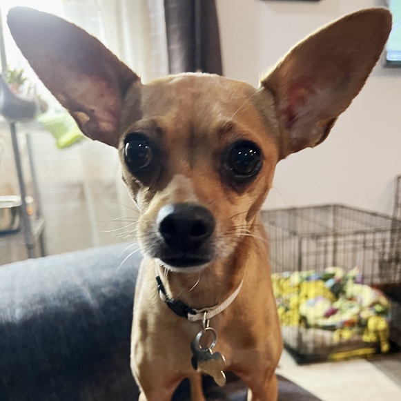 Lola 3