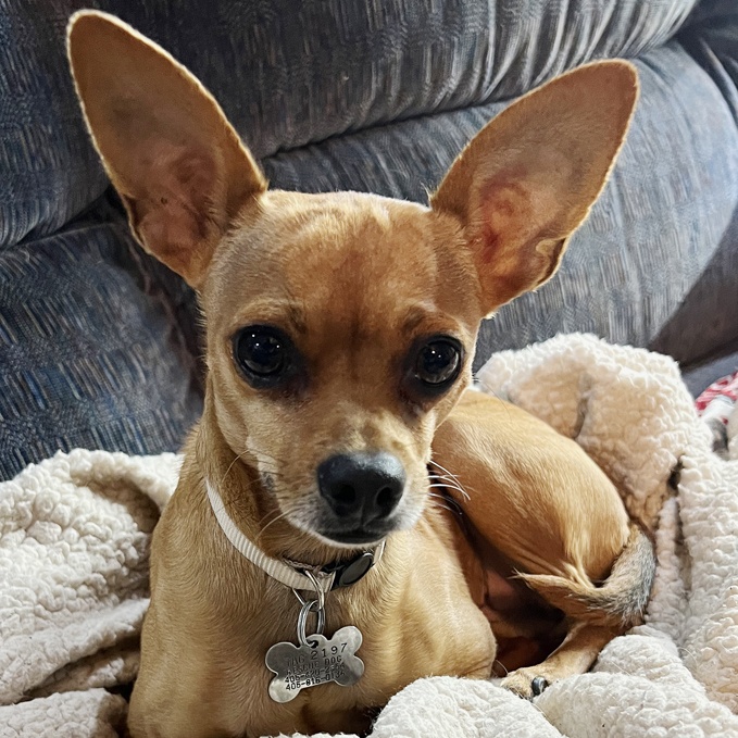 Lola 2