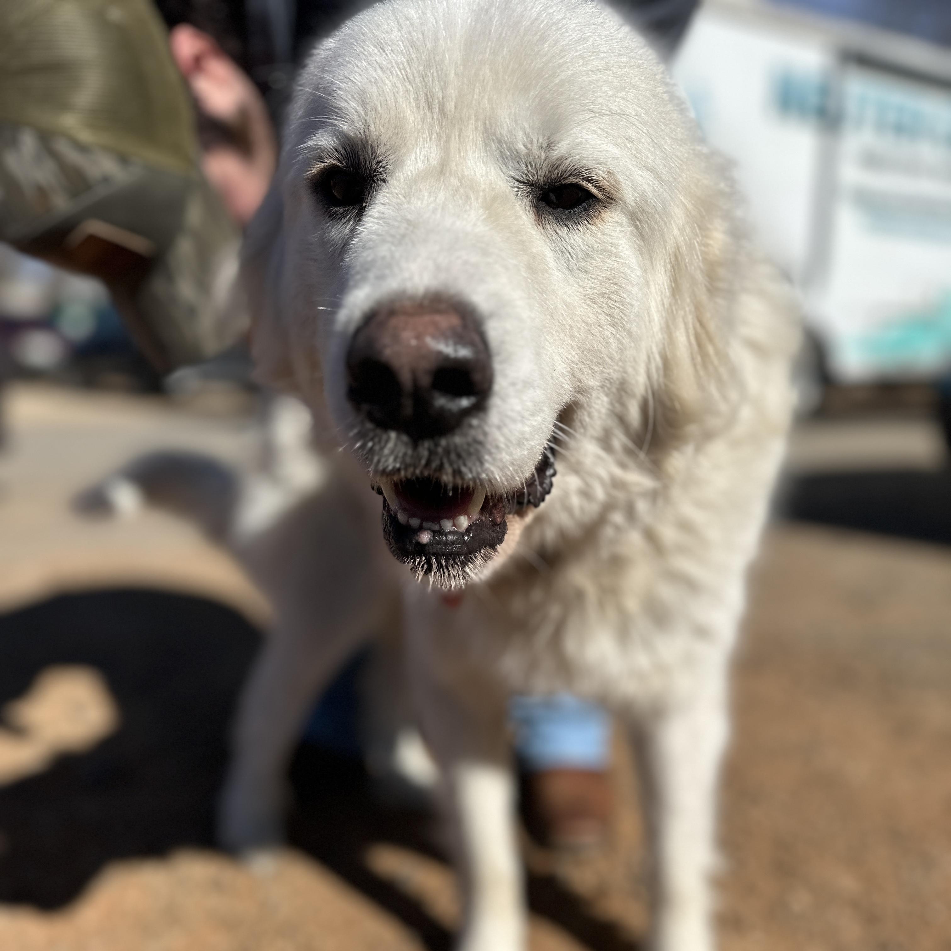 White Out — thumbnail 3