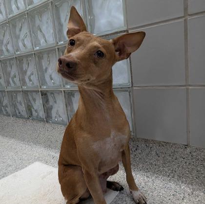 Chloe — thumbnail 2