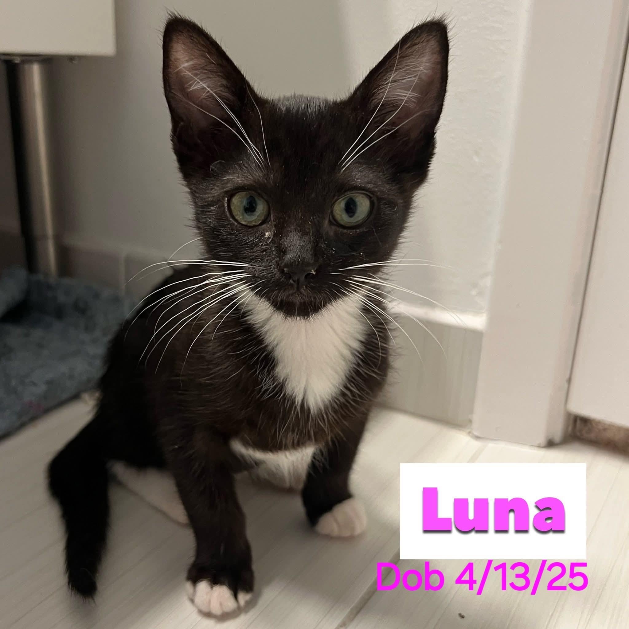Luna
