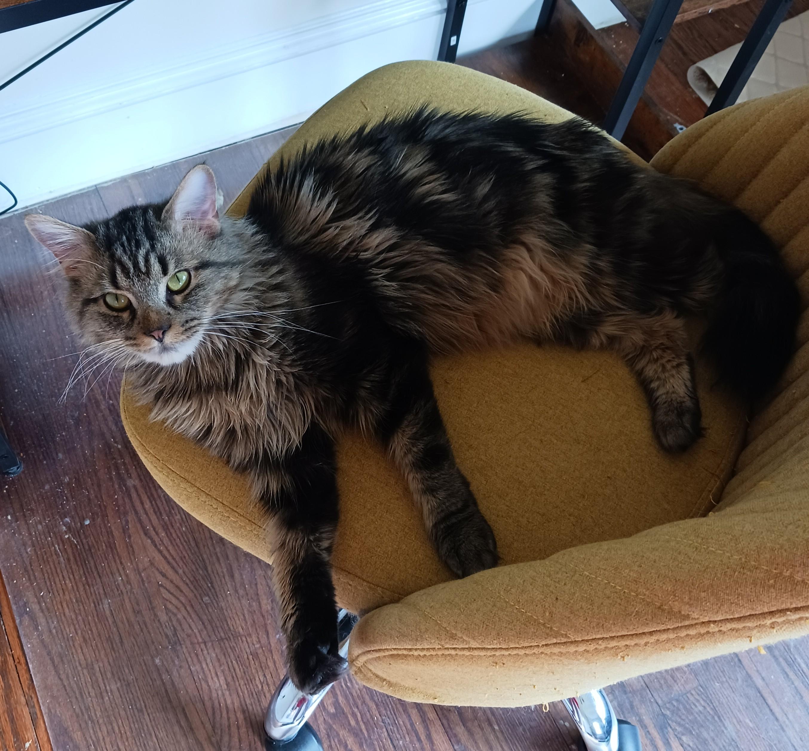 Jigsaw B.  Sweet thumbnail 3