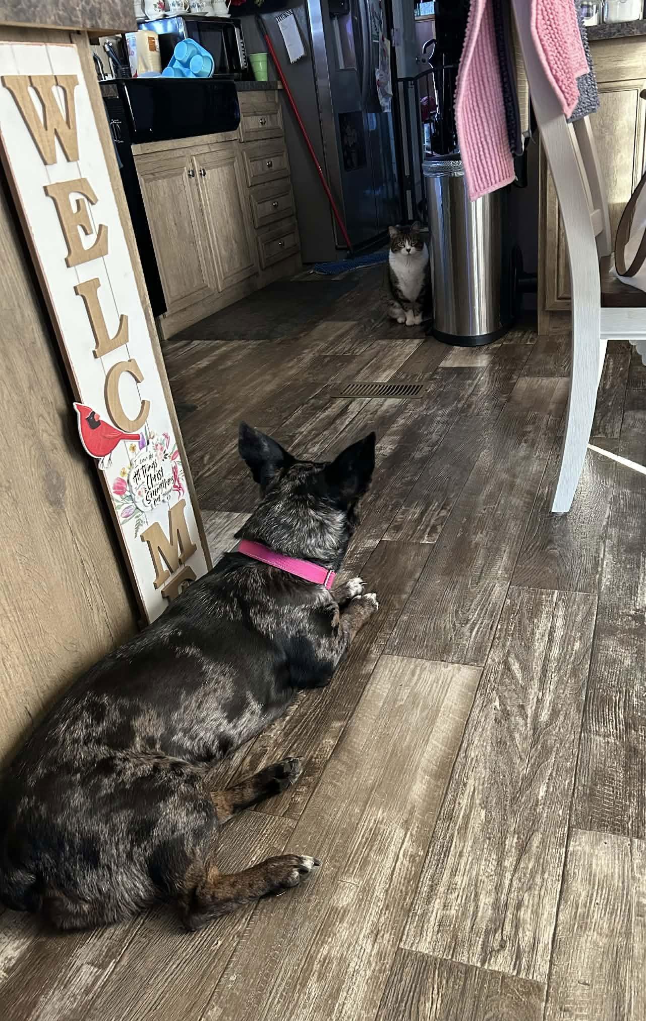 Eden Cutest Wiggle Butt thumbnail 3