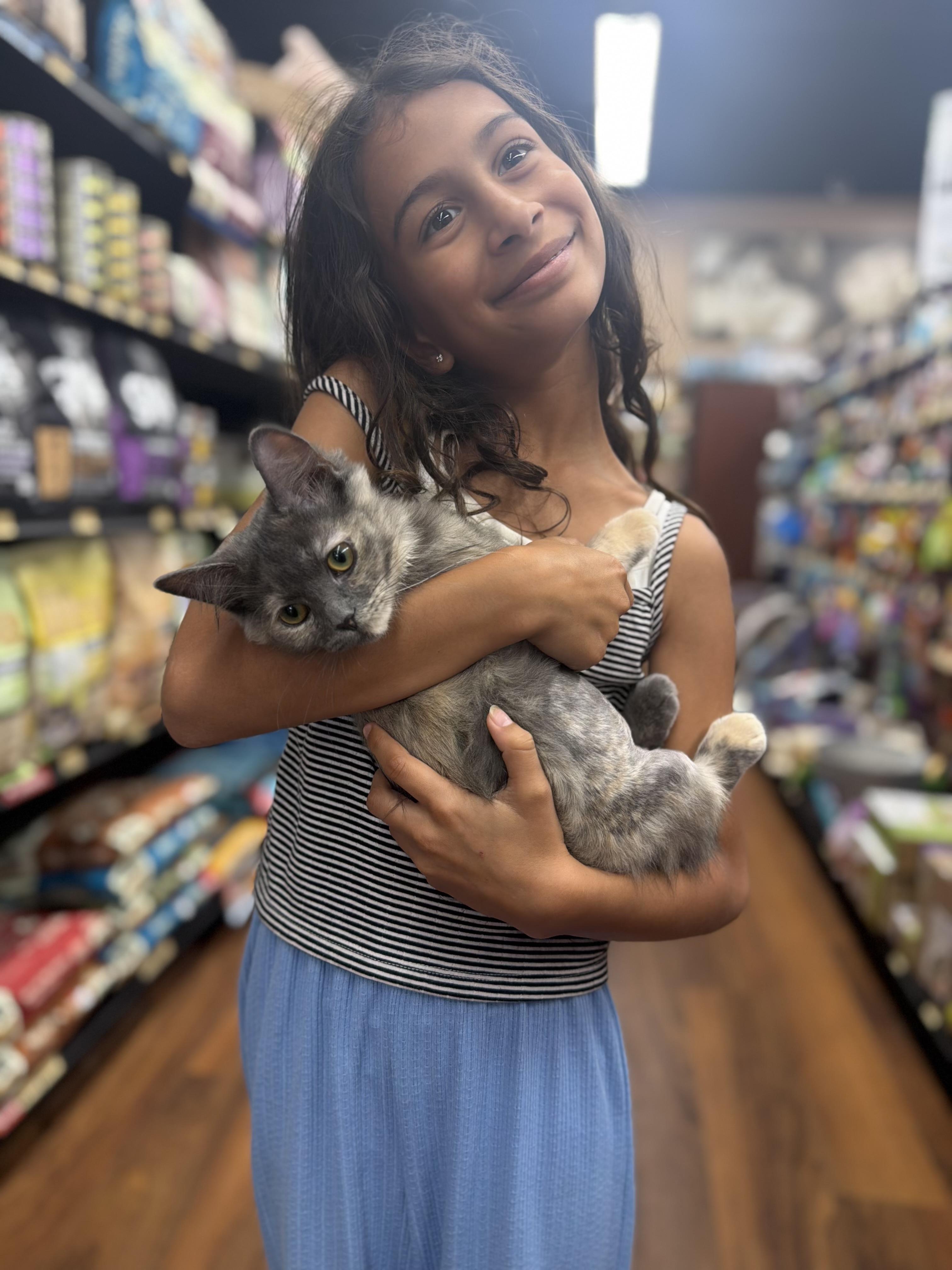 Enlarge Salsa, an adopted Domestic Medium Hair in Brampton, ON image 2/6