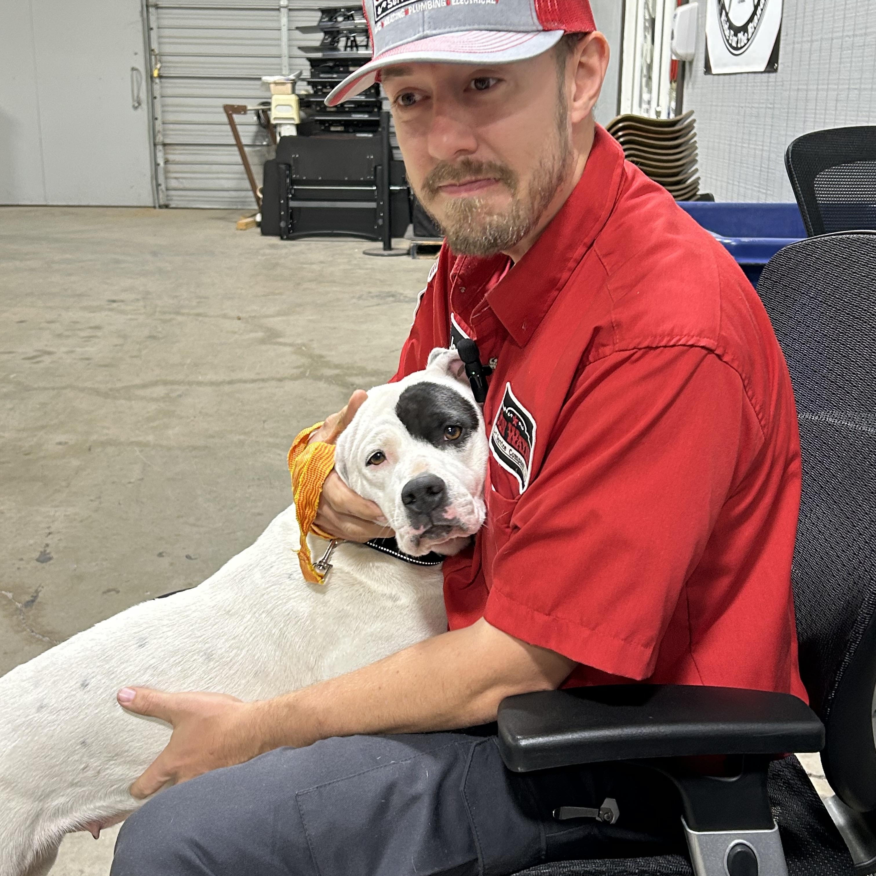 Enlarge Ophelia , a ADOPTABLE mixed breed in Elkhorn, WI image 3/5