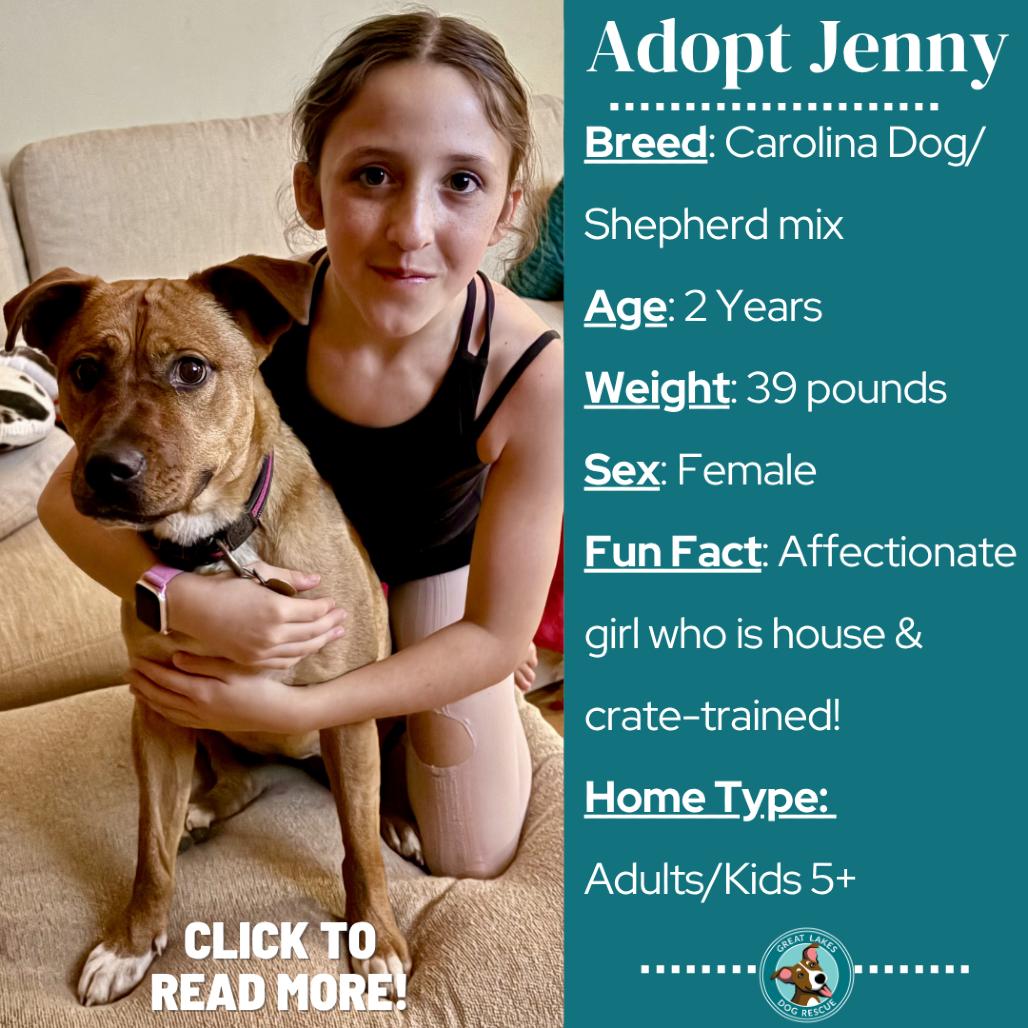Jenny, a Adoptable mixed breed in Metamora, MI image 2/6