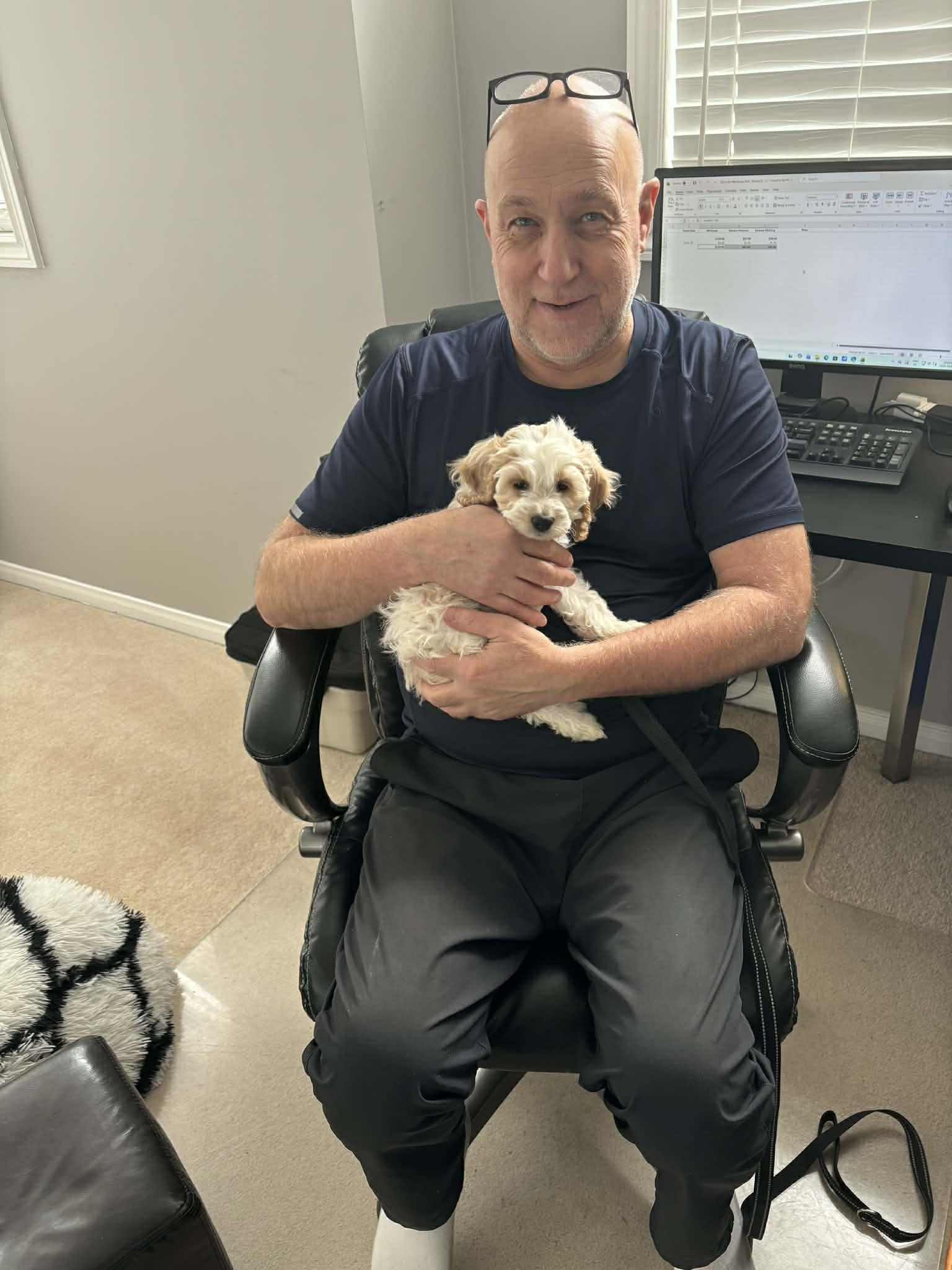 BRIDGET, an adopted mixed breed in Richmond Hill , ON image 2/4