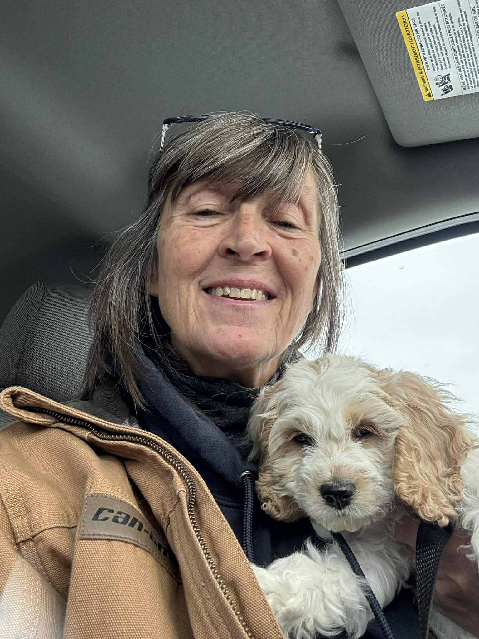 BRIDGET, an adopted mixed breed in Richmond Hill , ON image 3/4