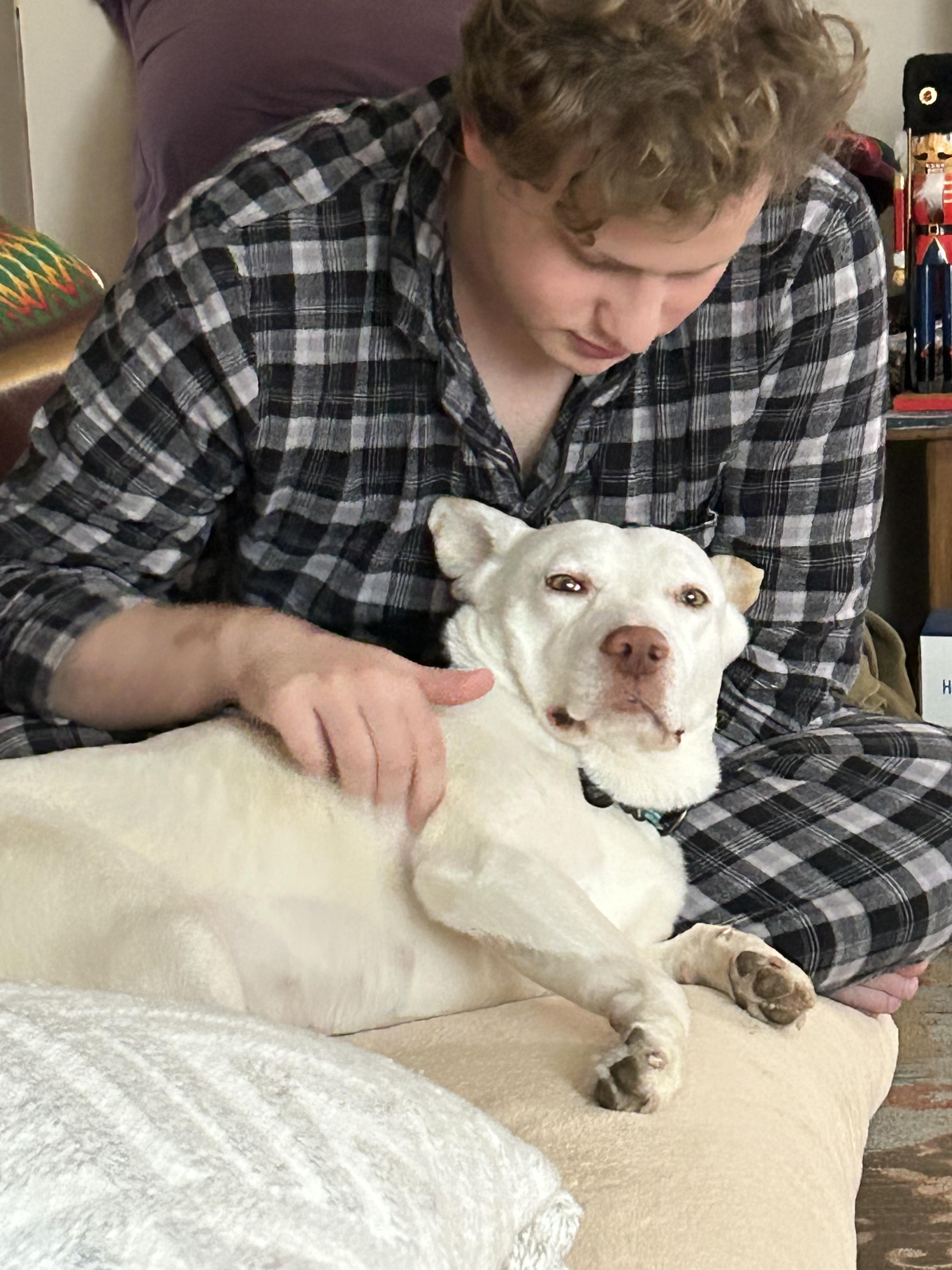 Enlarge Luna, a ADOPTABLE mixed breed in Burbank, CA image 3/5