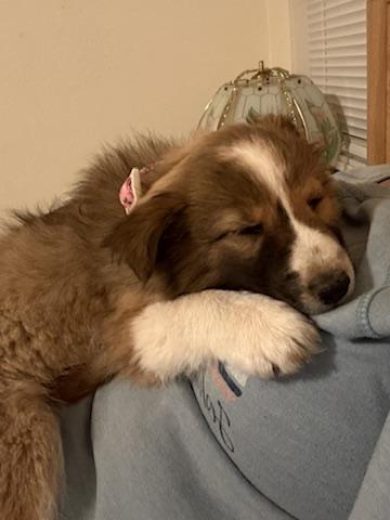 ANGIE — thumbnail 3