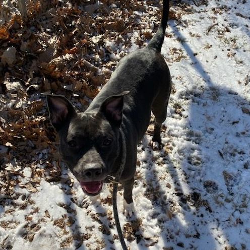 Macie photo 1