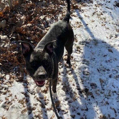 Macie photo 2