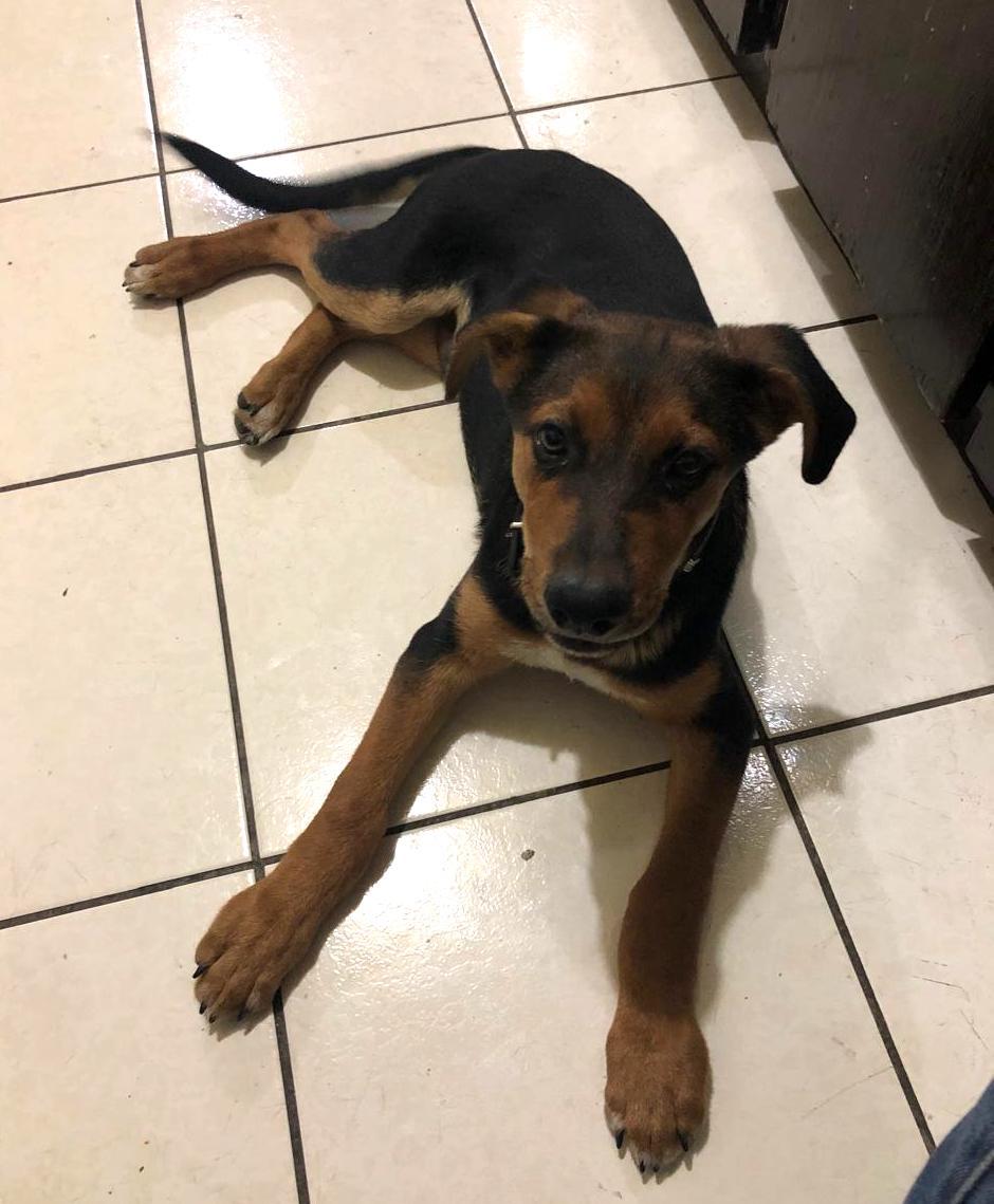 Blacky — thumbnail 3