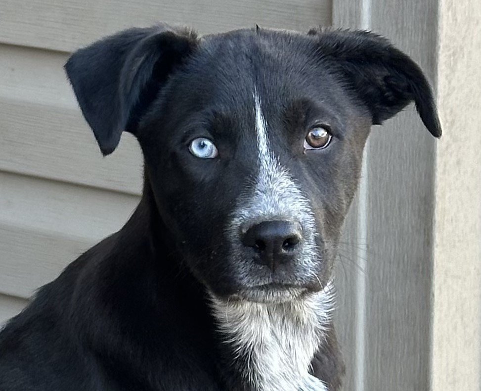 Hudson