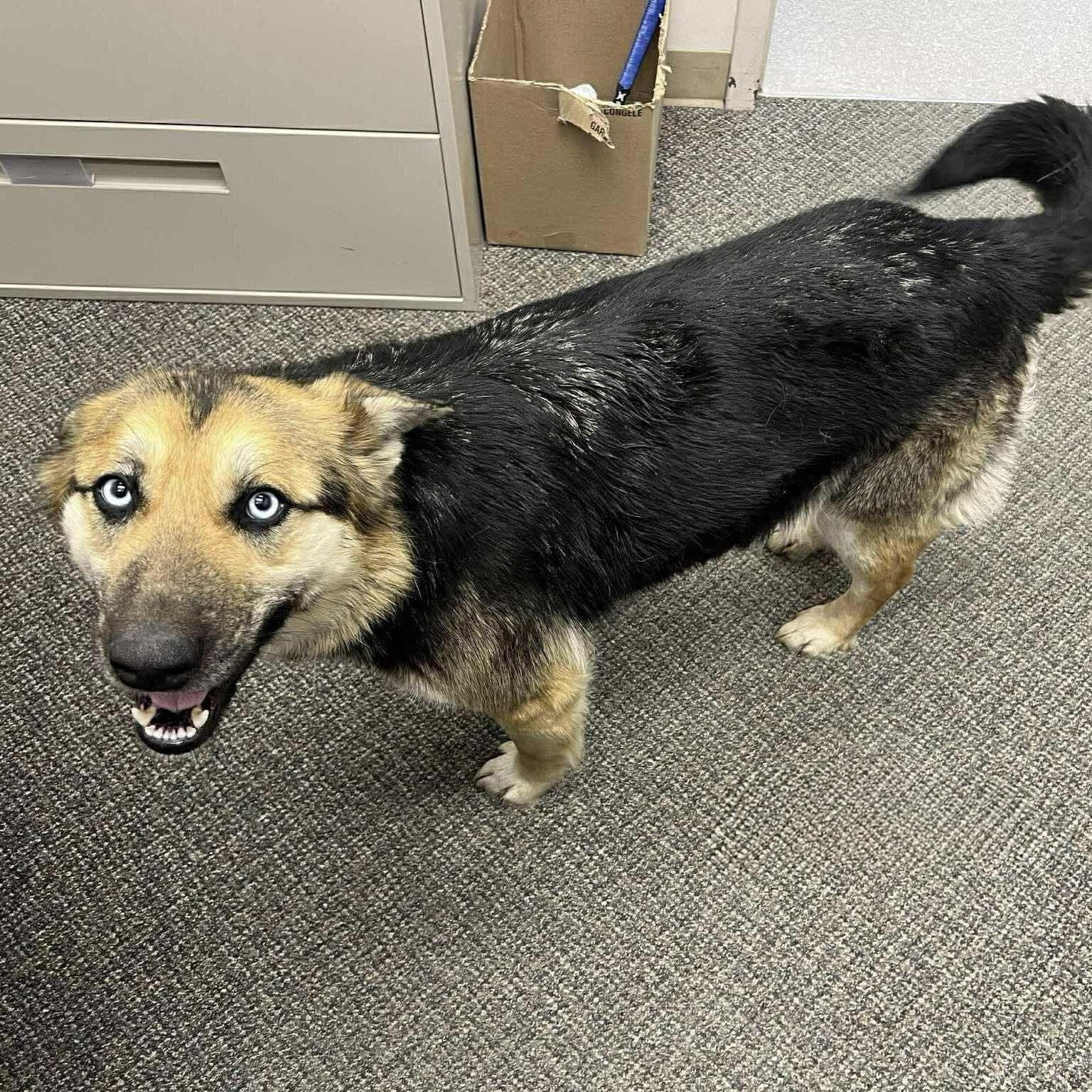 Beauty (20251006-03)