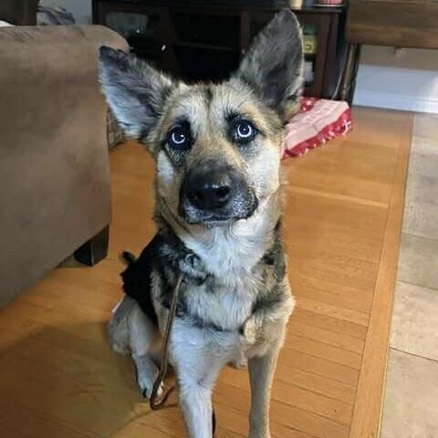 Beauty (20251006-03)