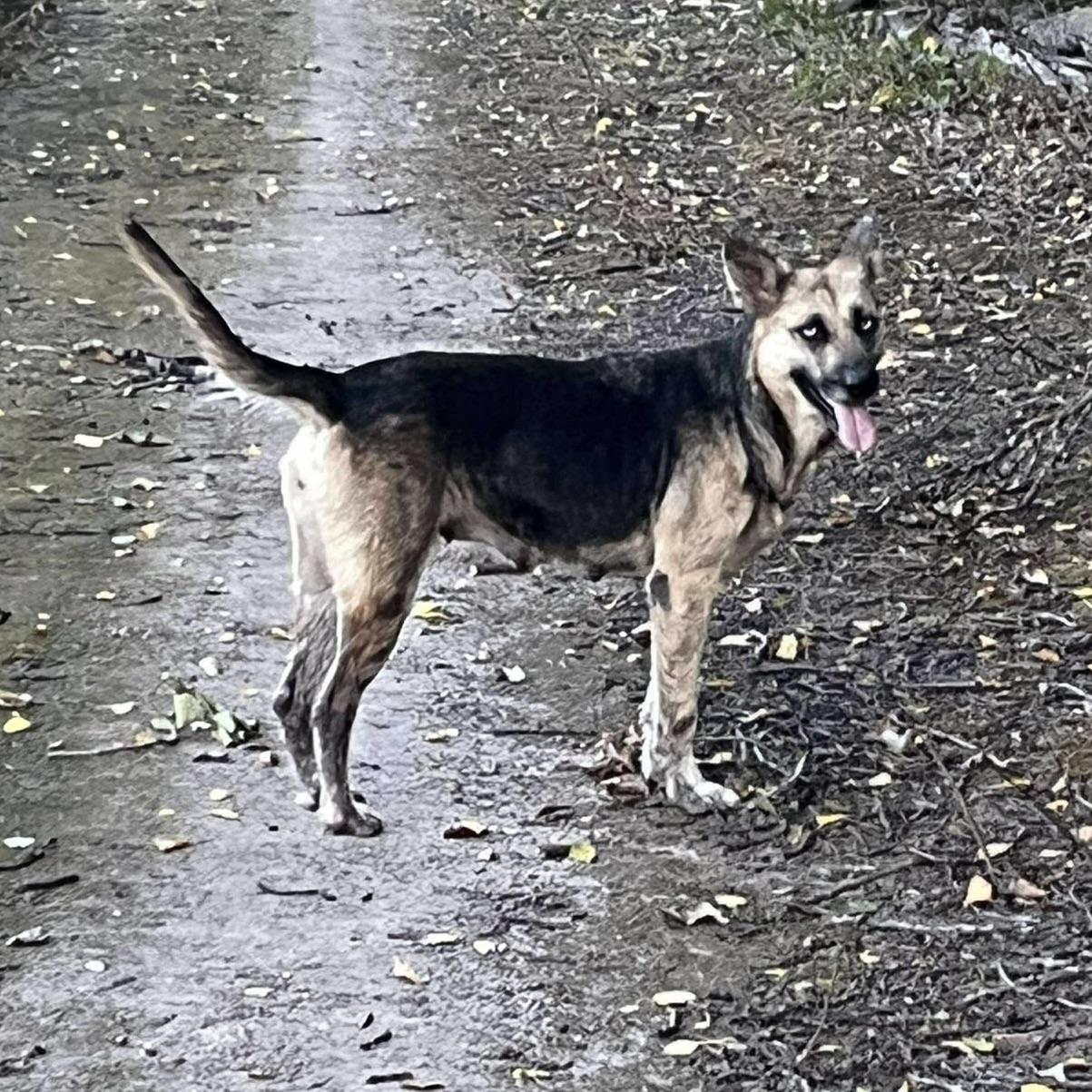 Beauty (20251006-03)