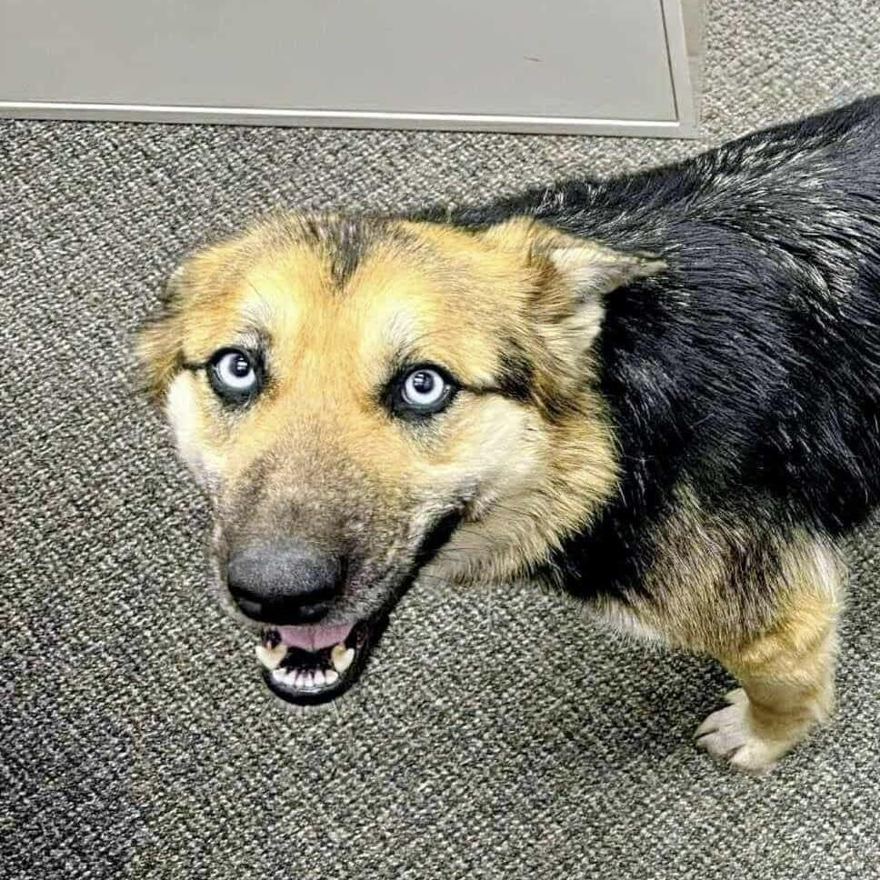 Beauty (20251006-03)