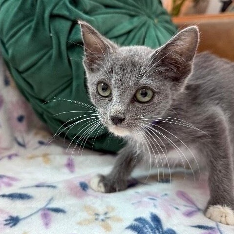 Joanne Marie TCHS — thumbnail 3