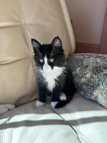 Charlie