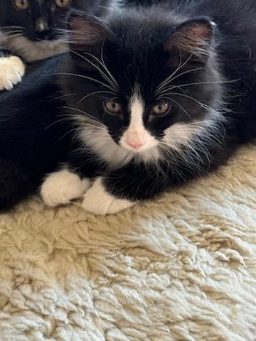 Charlie