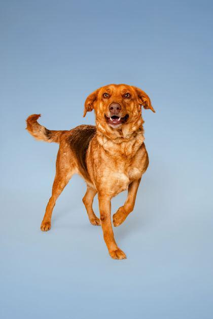 Riddle — thumbnail 2