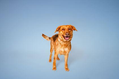 Riddle — thumbnail 3