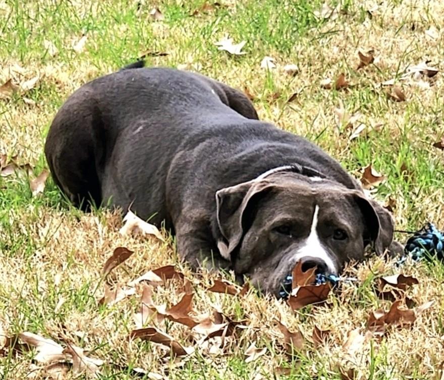 MAGGIE - Sugar and Spice