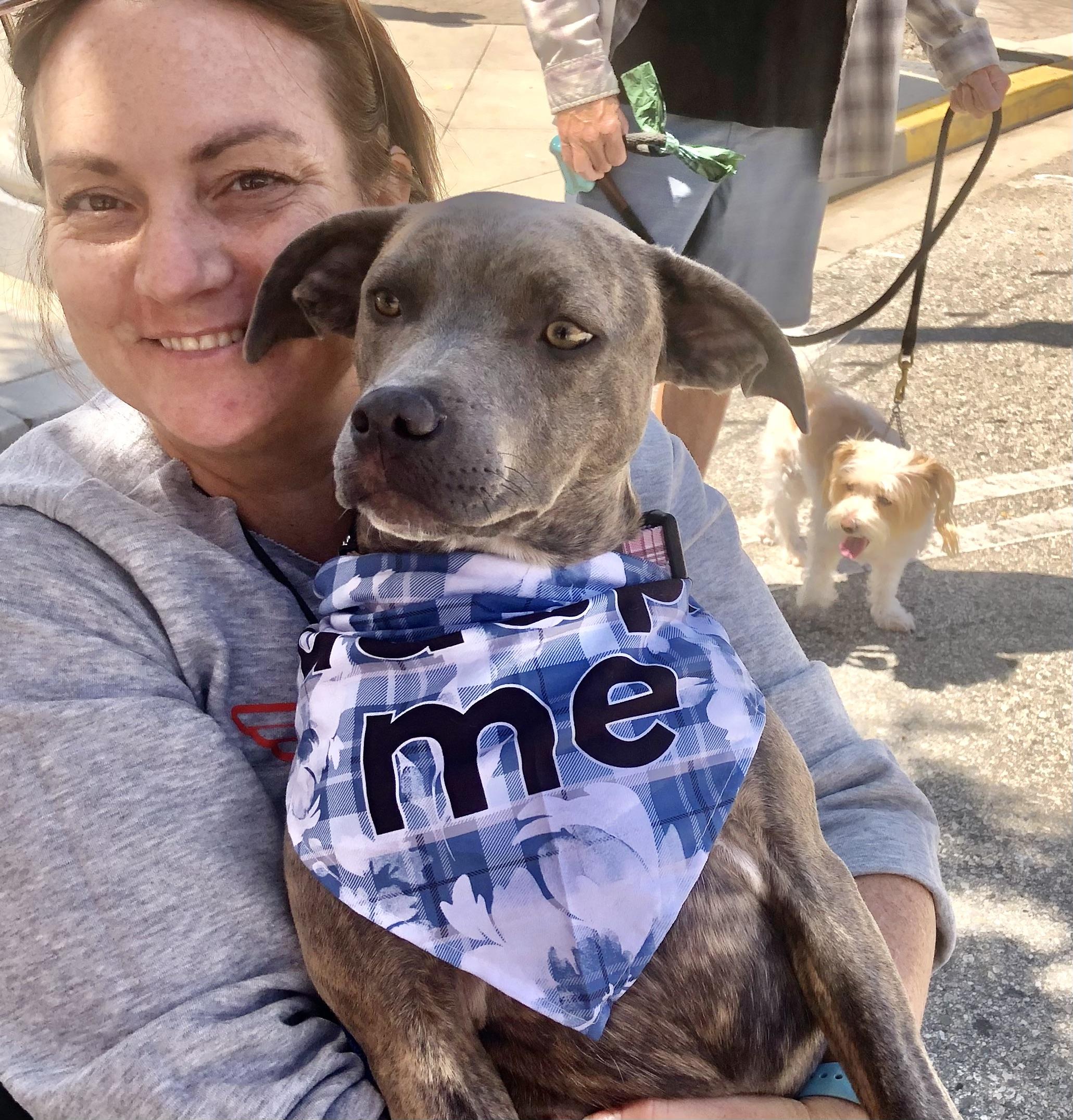 Enlarge PUPPY HOPE, a ADOPTABLE mixed breed in Thousand Oaks, CA image 6/6