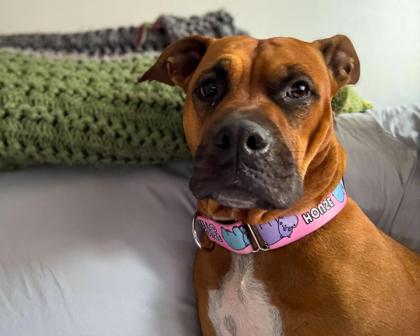 Marcia Brady thumbnail 4