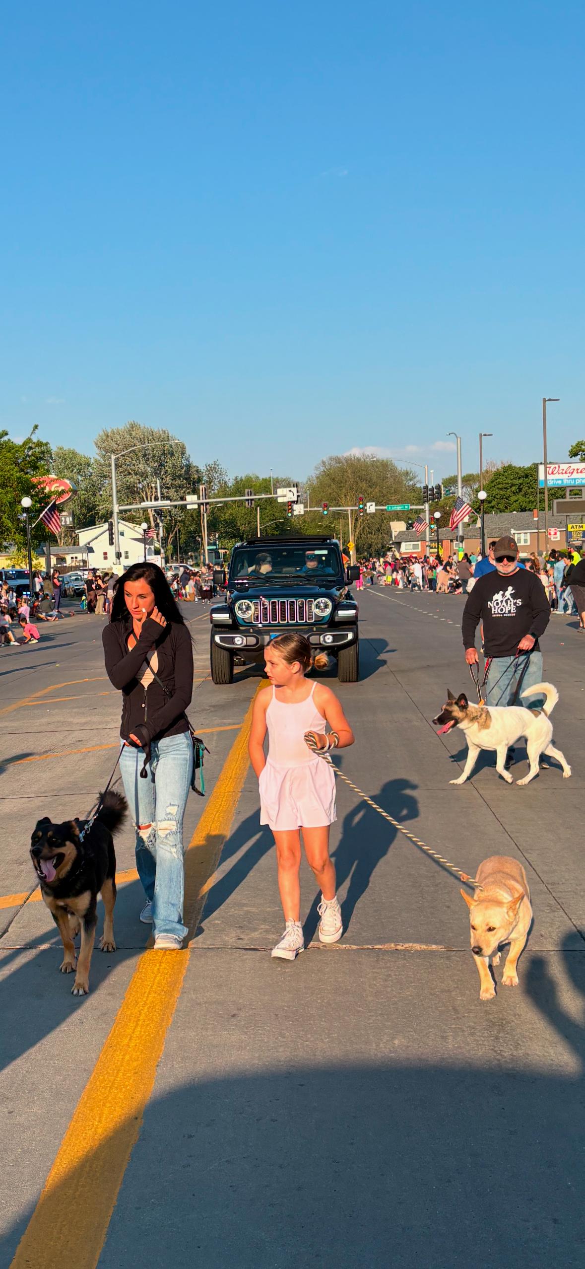 Enlarge Virginia, a Adopted mixed breed in Sioux City, IA image 4/4