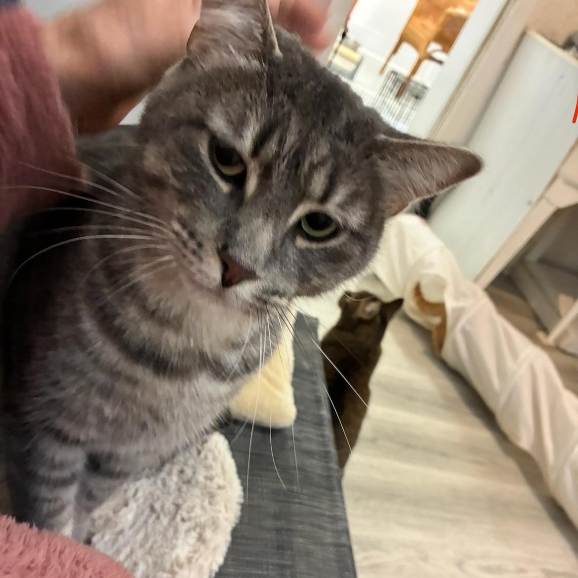 Rocky