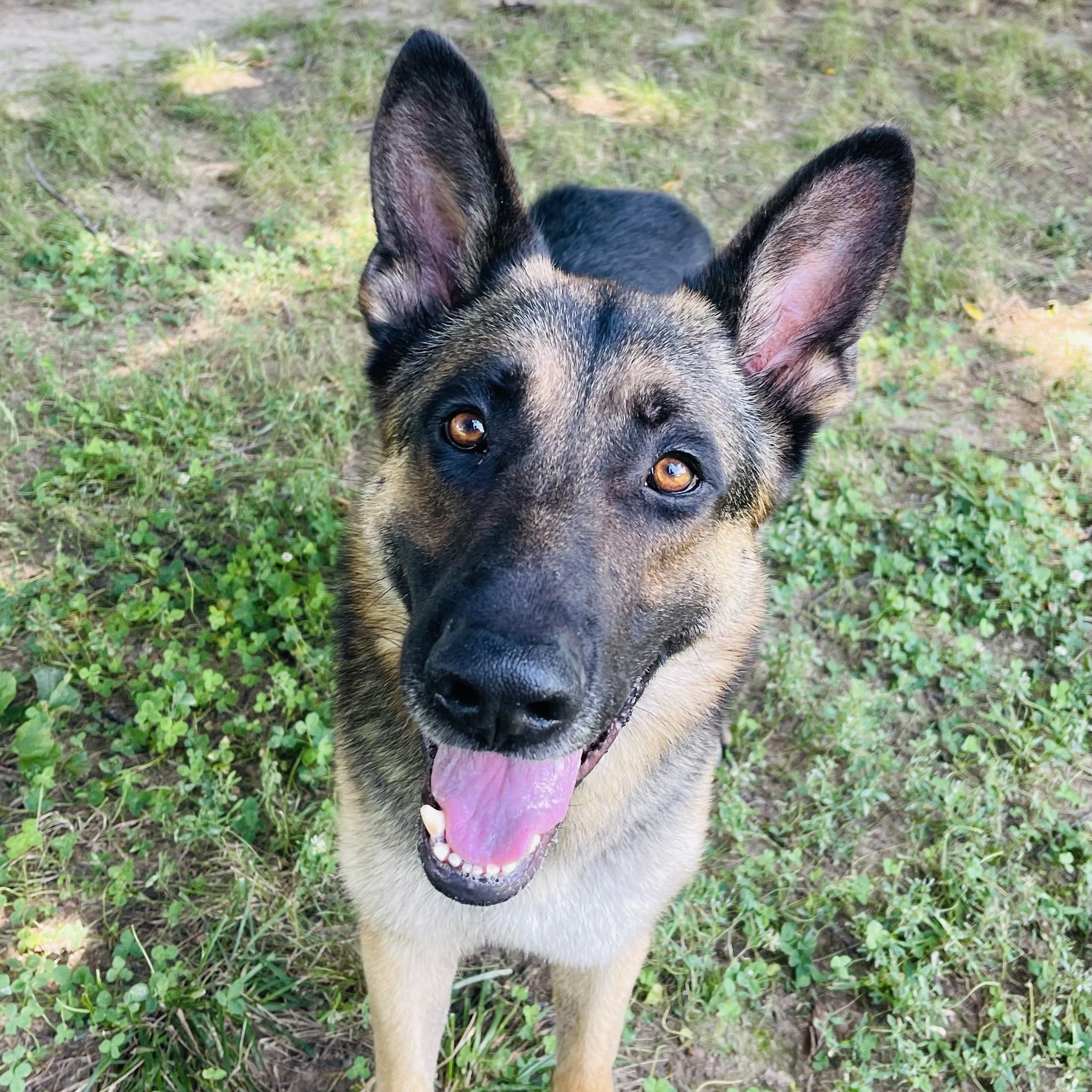 Winston