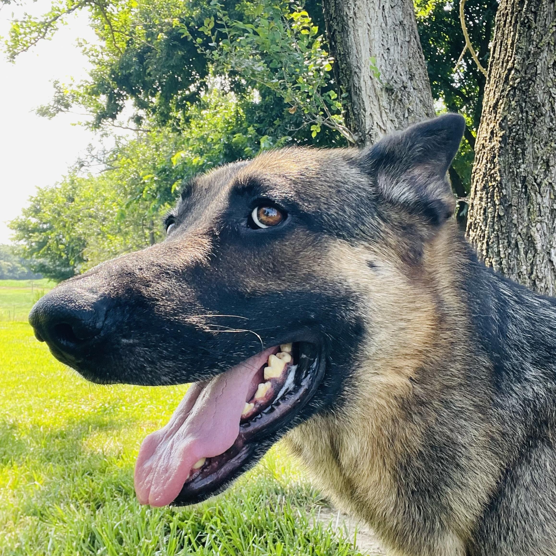 Winston