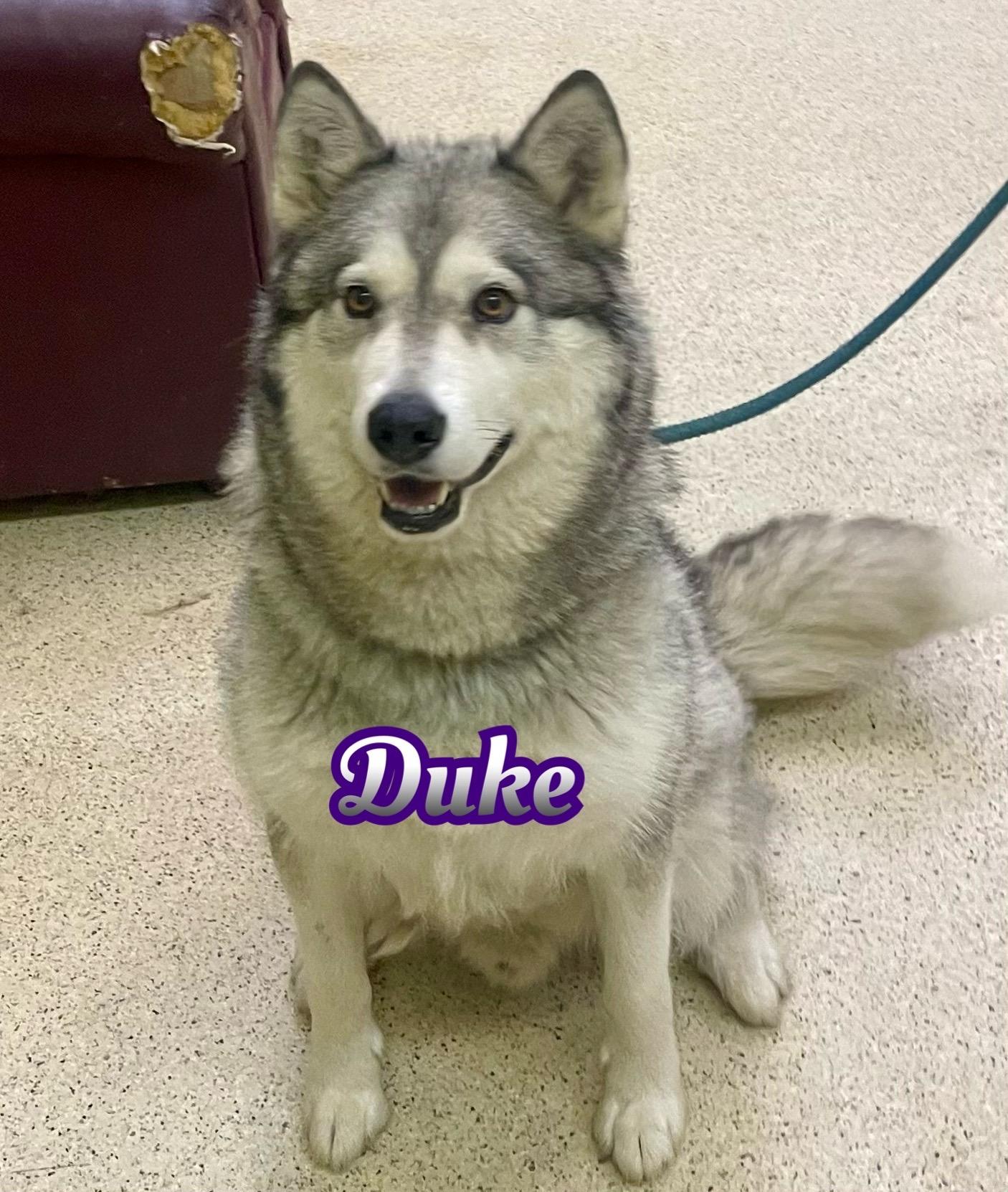 Duke
