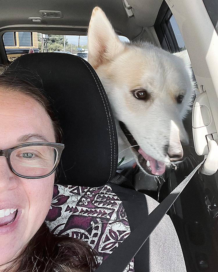 Enlarge Maverick, a Adoptable mixed breed in Los Angeles, CA image 3/6