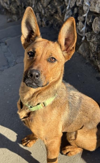 Cypress — thumbnail 3