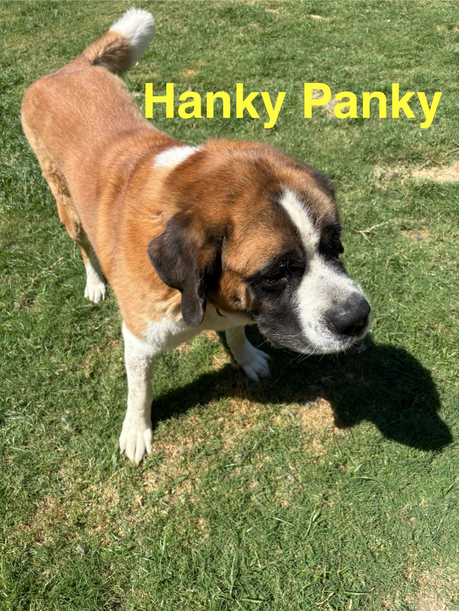 Hanky Panky thumbnail 2