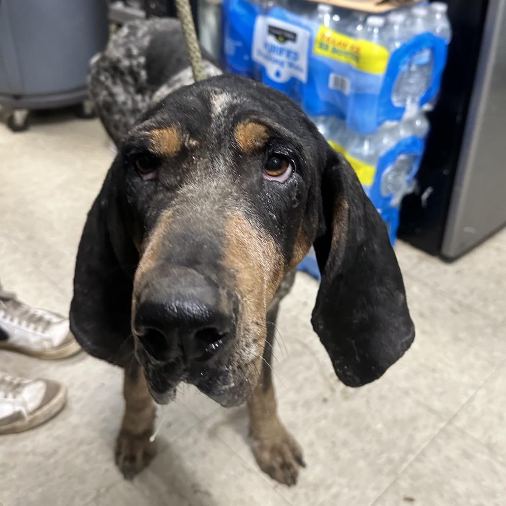 Marlow 5069 — thumbnail 2