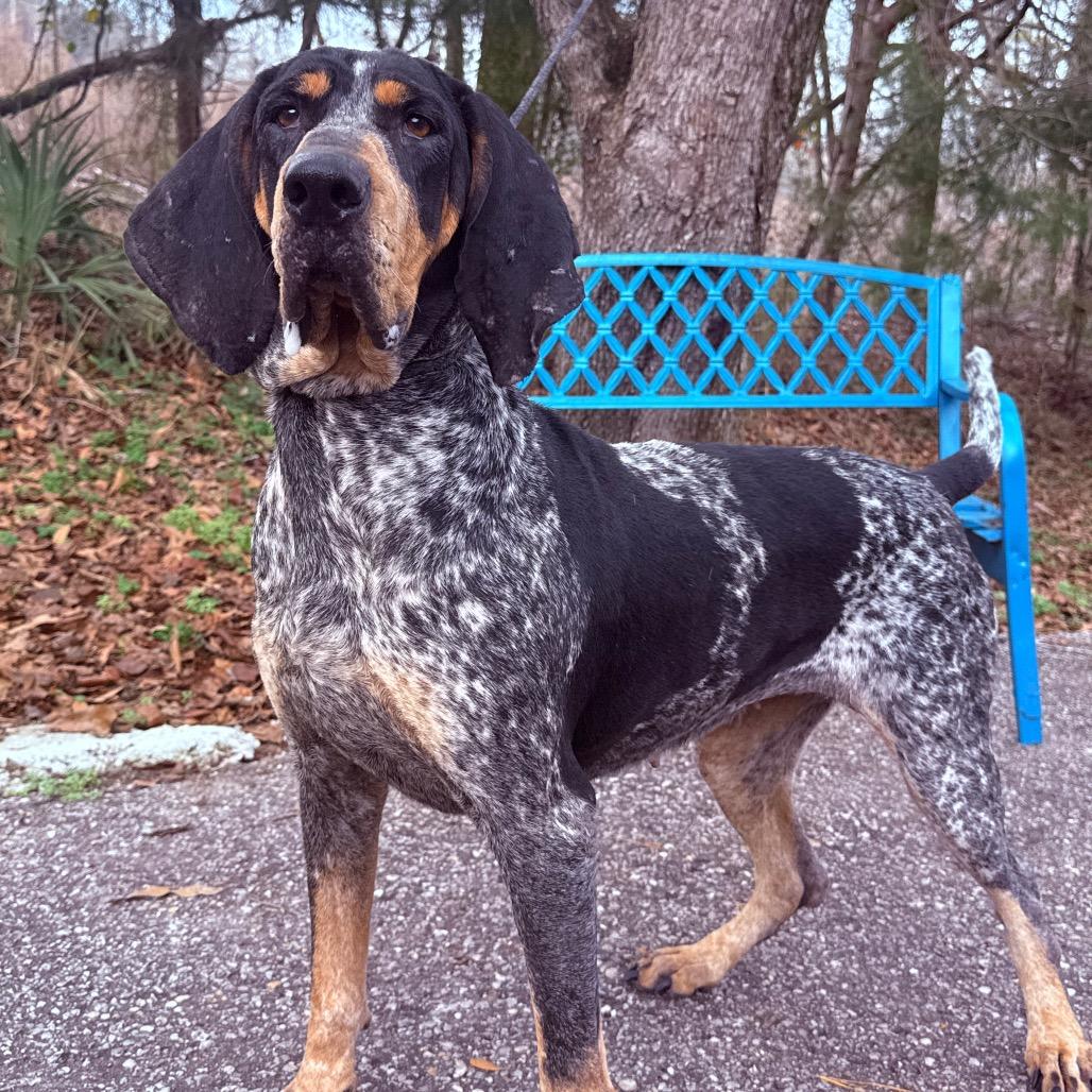 Marlow 5069 — thumbnail 3