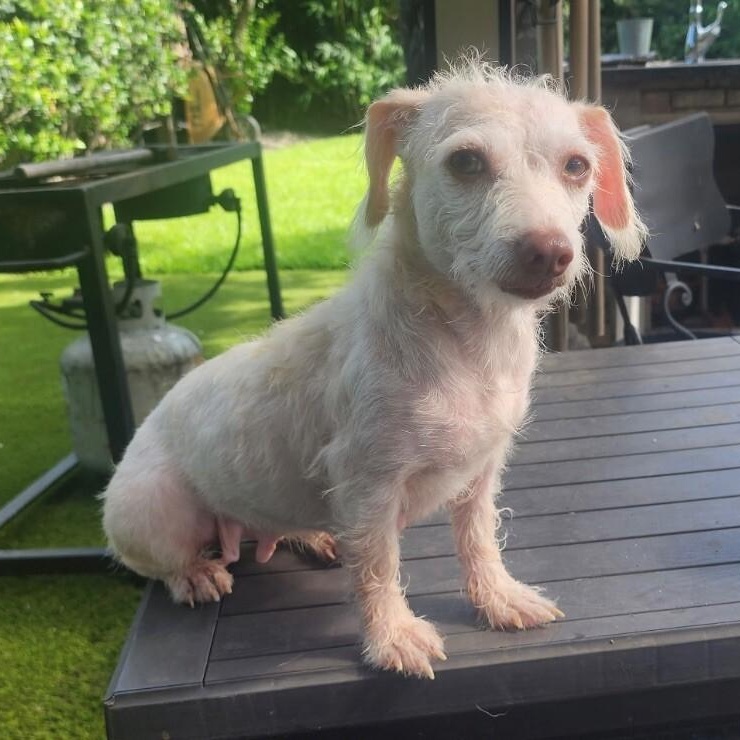 Willa Jean — thumbnail 3