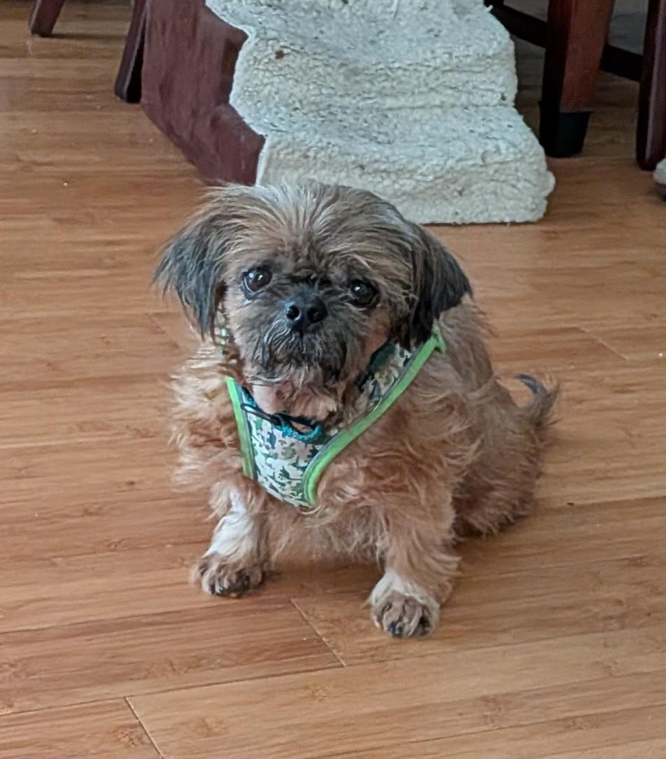 Bandito