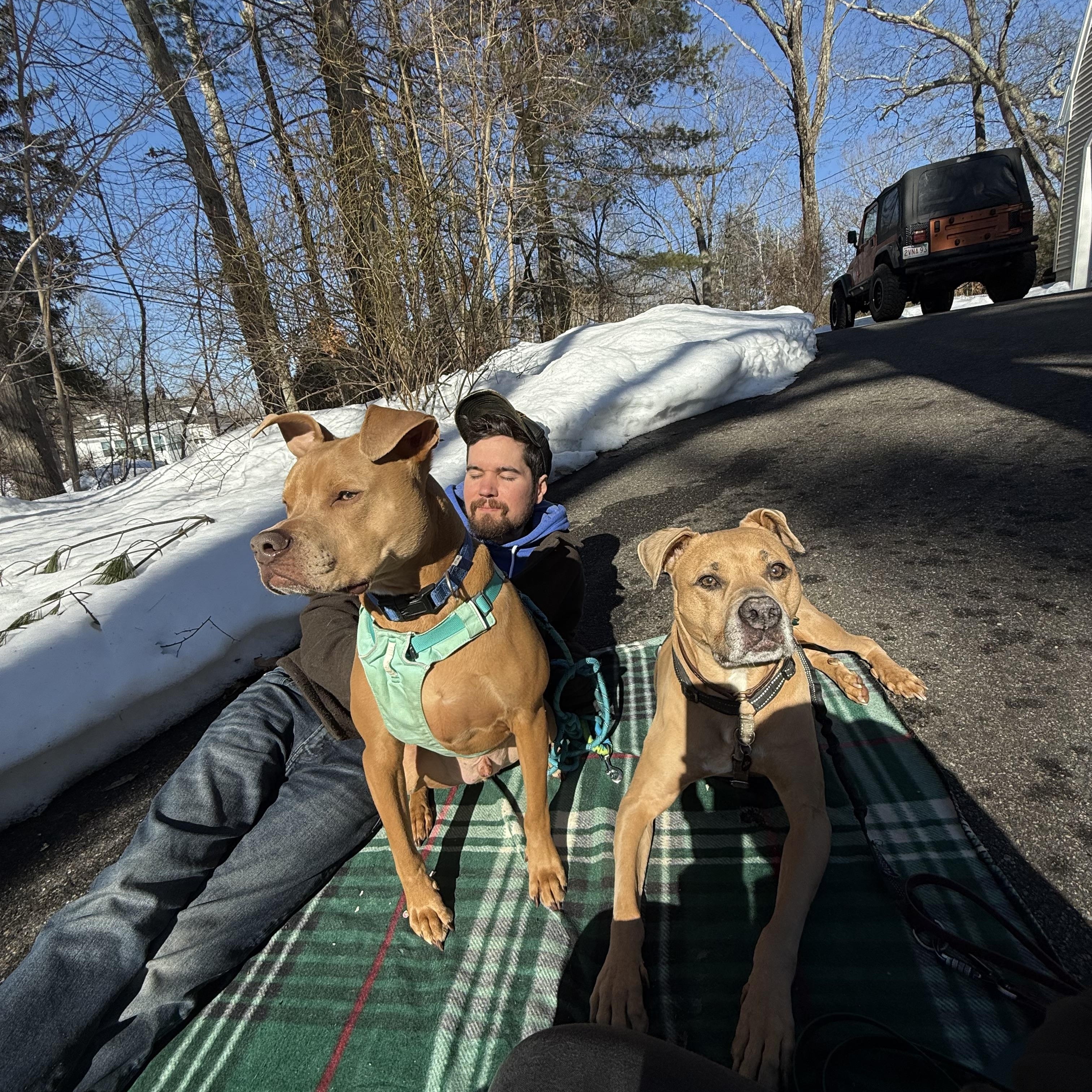 Enlarge Mookie!, a Adoptable mixed breed in Rehoboth, MA image 5/6