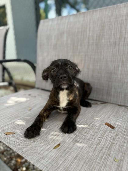 Millie Jo — thumbnail 2