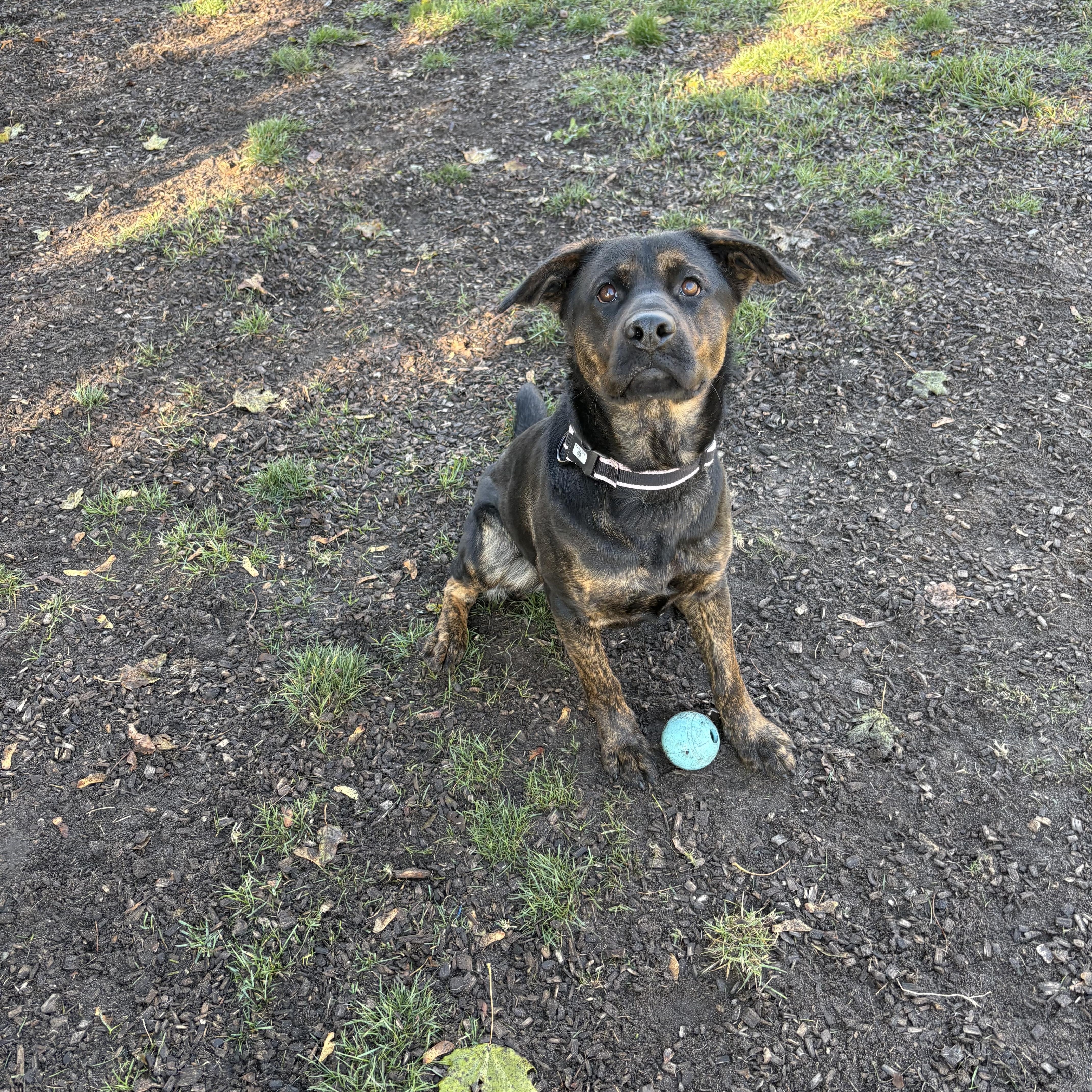 Buffy — thumbnail 4