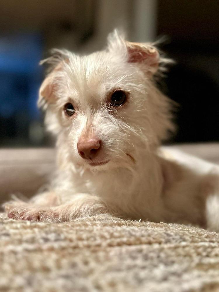 Agatha — thumbnail 4