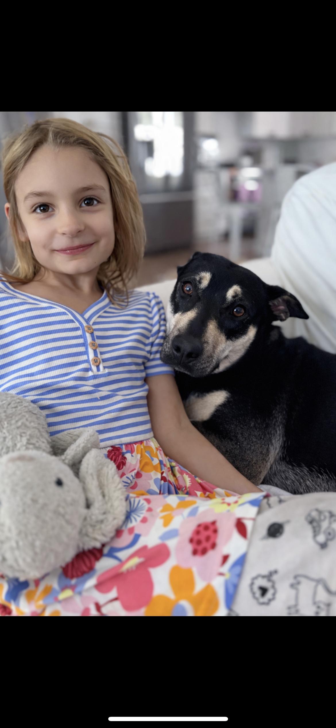 Enlarge LAUREL, a Adoptable mixed breed in Branford, CT image 1/6