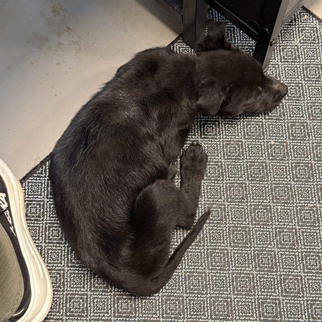 Hotch — thumbnail 2